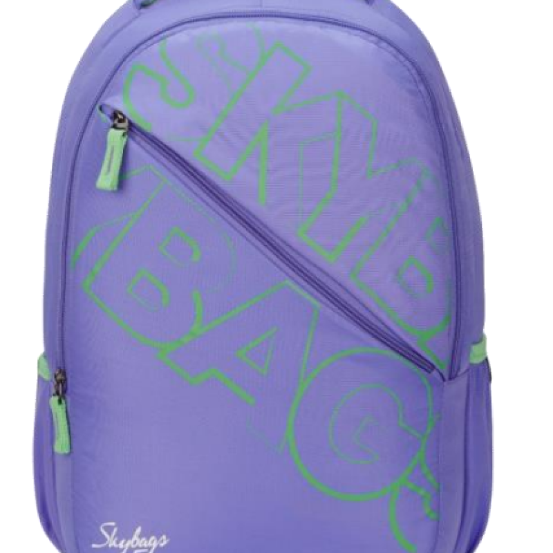 Polyester Skybags Blue Network Pro Laptop Backpack, Number Of Compartments:  2 Compartments at Rs 2600 in Guwahati